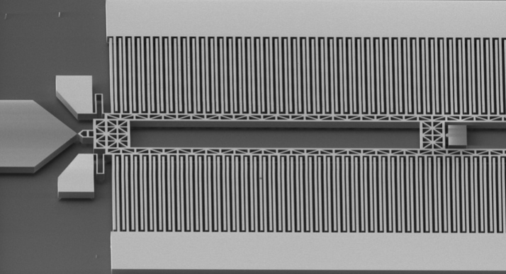 Fabricated MEMS Chip